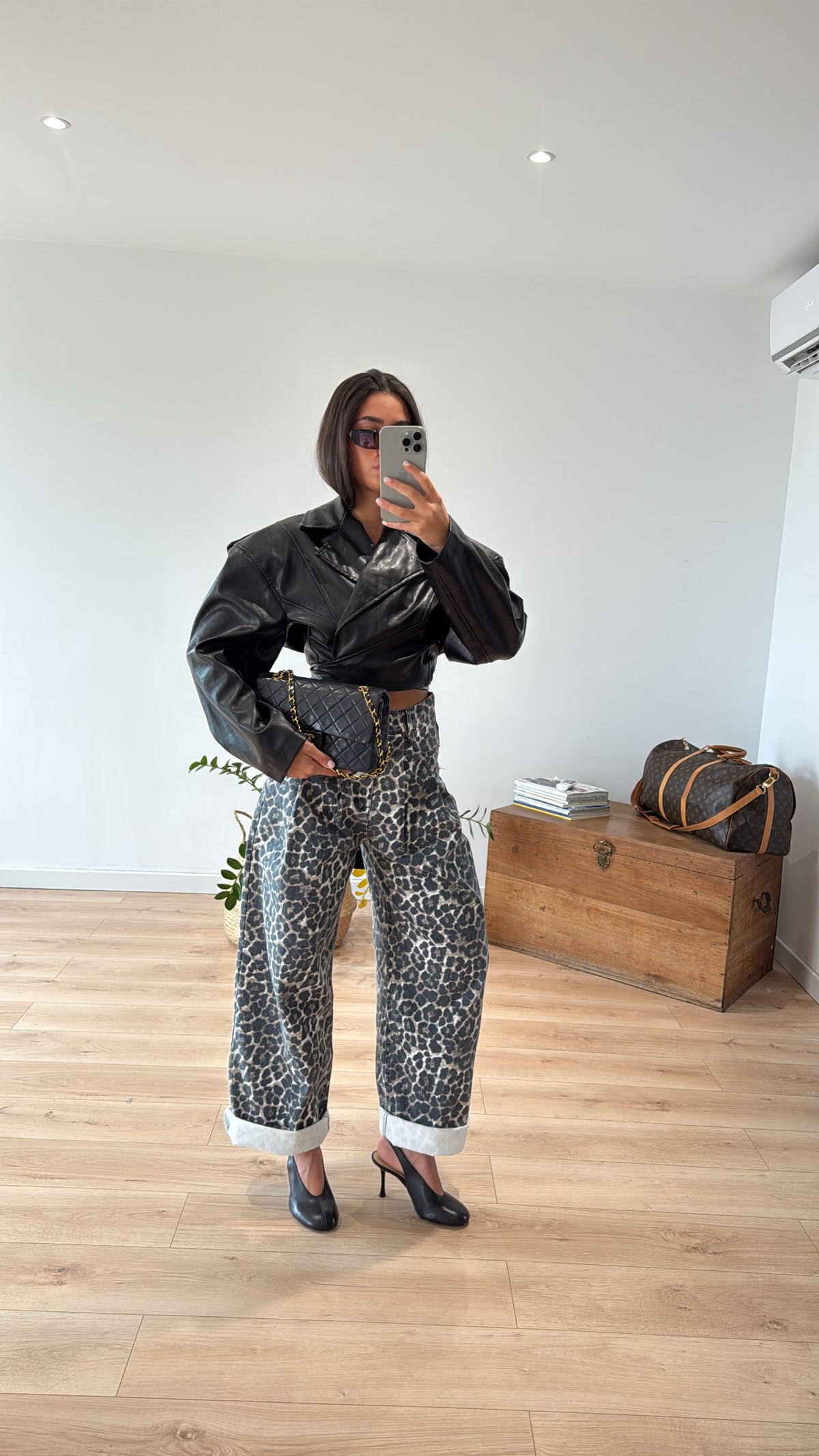 cat New collection