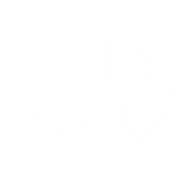 Expedition express icon